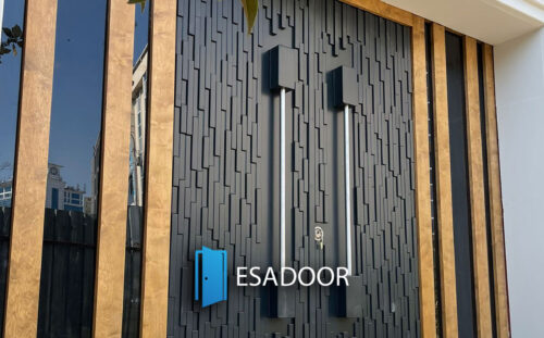 Special Design Steel Door Production for Library Esadoor-1002