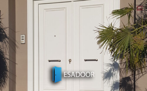 Mansion Luxury Entry Gate Esadoor-1008