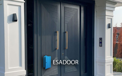 Luxury Custom Design Mansion Entrance Door Esadoor-1022