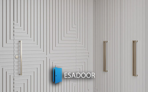 Special Design Design Steel Door Esadoor-1031
