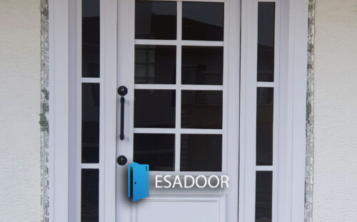 Glass Villa House Steel Door Esadoor-1035