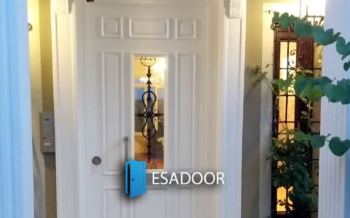 White House Entrance Steel Door Esadoor-1037