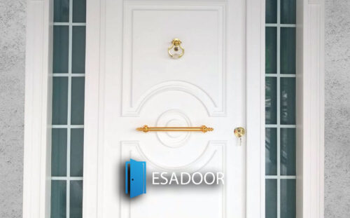 Modern Glass House Steel Door Esadoor-1041