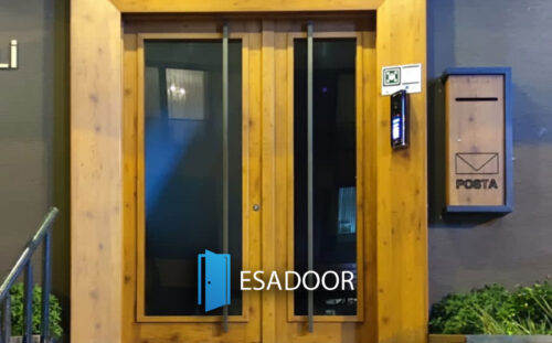 Glass Apartment Steel Door Esadoor-1044