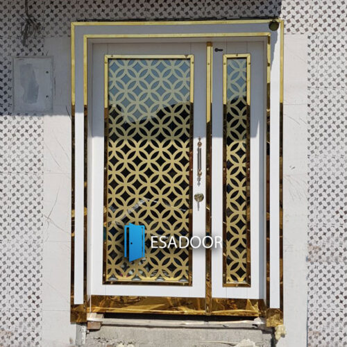 Glass Apartment Steel Door Esadoor-1045