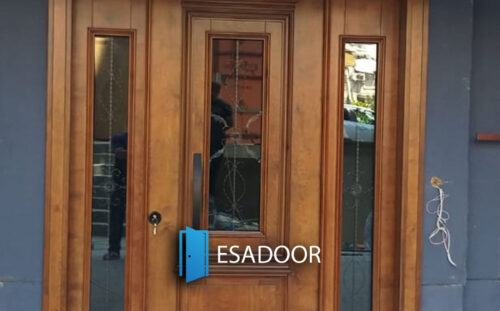 Classic Apartment Steel Exterior Door Esadoor-1052