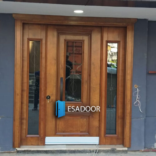 Classic Apartment Steel Exterior Door Esadoor-1052