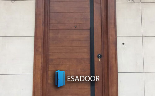Modern House Steel Entrance Door Esadoor-1061