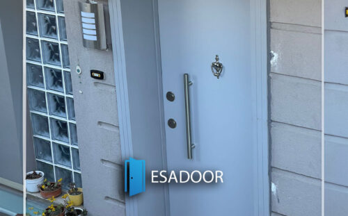 Villa Flat Steel Entrance Door Esadoor-1062