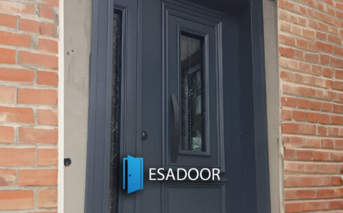 Wrought Iron Villa Steel Entrance Door Esadoor-1063