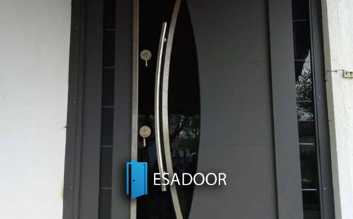 Home Steel Entrance Door Esadoor-1066