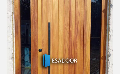 Natural Steel Exterior Door Esadoor-1069