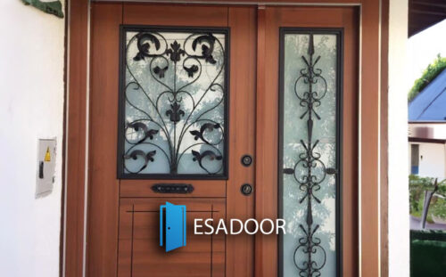 Natural Steel Exterior Door Esadoor-1070
